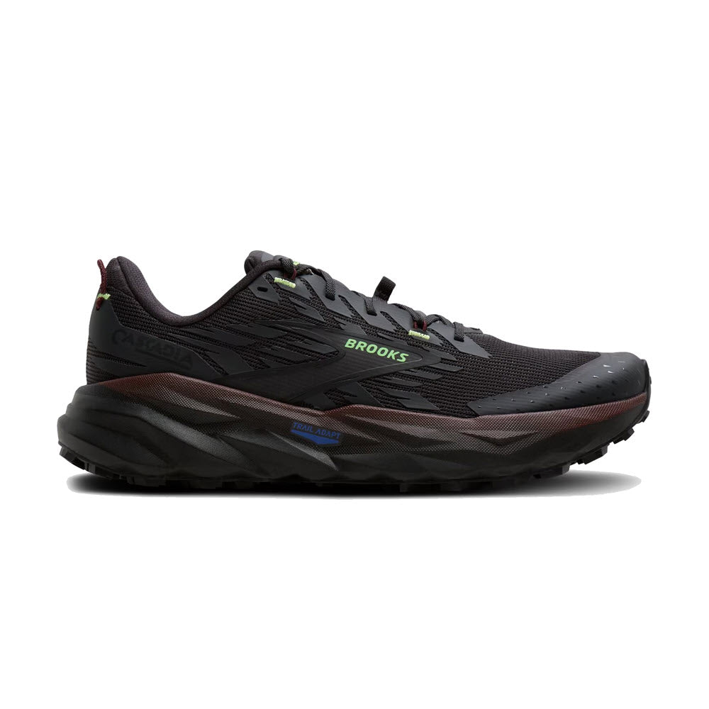 Men's Brooks Cascadia 19, Phantom/Rum Raisin/Green, 13 D Medium